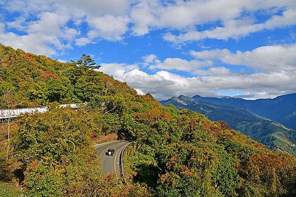 冬之繽紛~~漫步在清境「天空步道」、「青青草原」