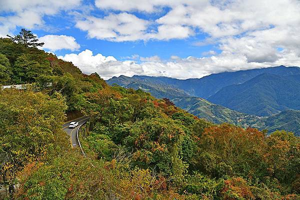 冬之繽紛~~漫步在清境「天空步道」、「青青草原」