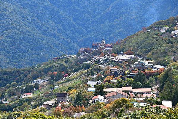 冬之繽紛~~漫步在清境「天空步道」、「青青草原」