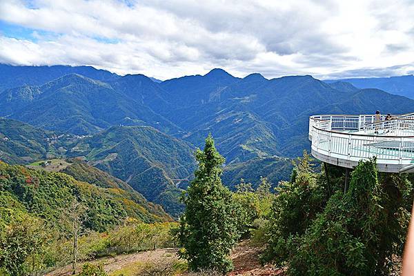 冬之繽紛~~漫步在清境「天空步道」、「青青草原」