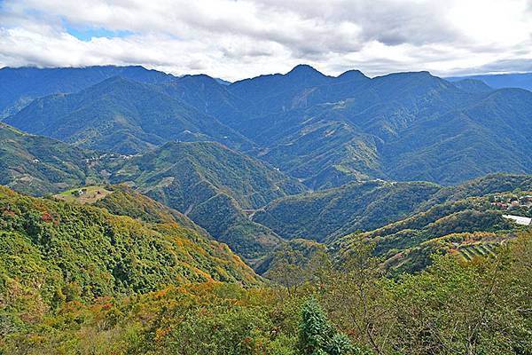 冬之繽紛~~漫步在清境「天空步道」、「青青草原」