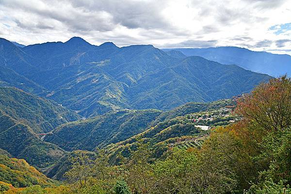 冬之繽紛~~漫步在清境「天空步道」、「青青草原」