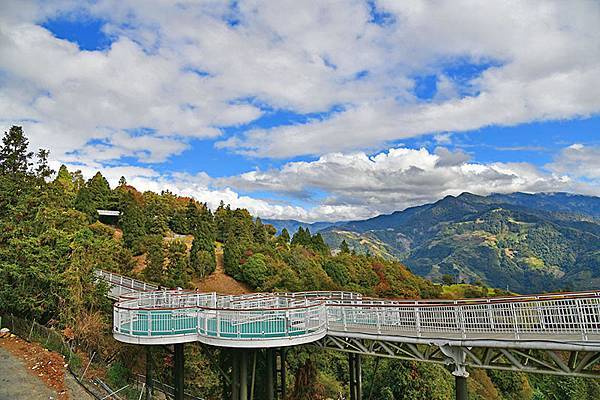 冬之繽紛~~漫步在清境「天空步道」、「青青草原」