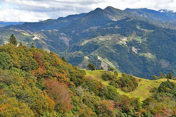 冬之繽紛~~漫步在清境「天空步道」、「青青草原」