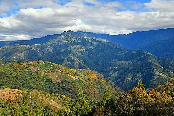 冬之繽紛~~漫步在清境「天空步道」、「青青草原」