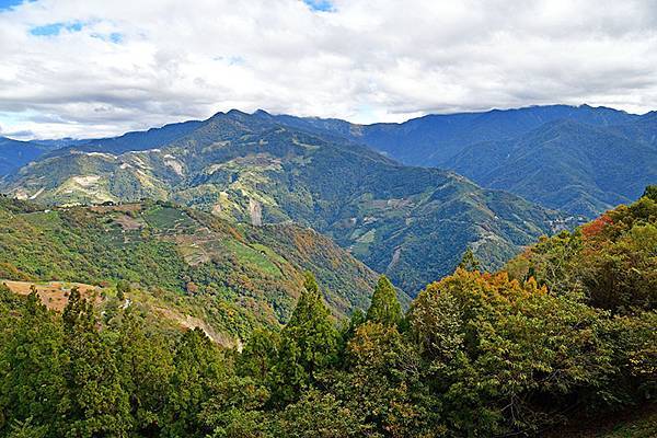 冬之繽紛~~漫步在清境「天空步道」、「青青草原」