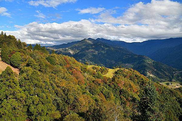 冬之繽紛~~漫步在清境「天空步道」、「青青草原」