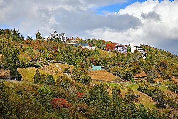 冬之繽紛~~漫步在清境「天空步道」、「青青草原」