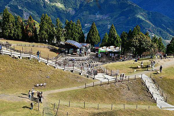 冬之繽紛~~漫步在清境「天空步道」、「青青草原」