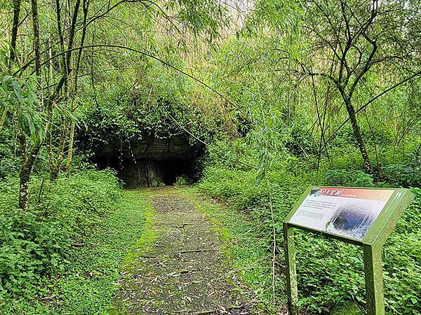 綠野遊蹤~~嘉義「頂湖步道」森呼吸