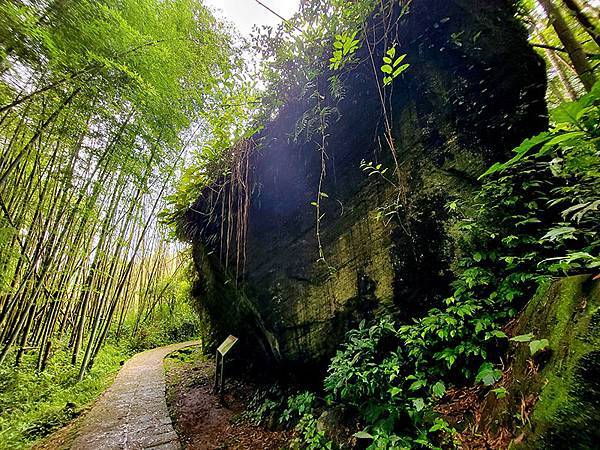 綠野遊蹤~~嘉義「頂湖步道」森呼吸