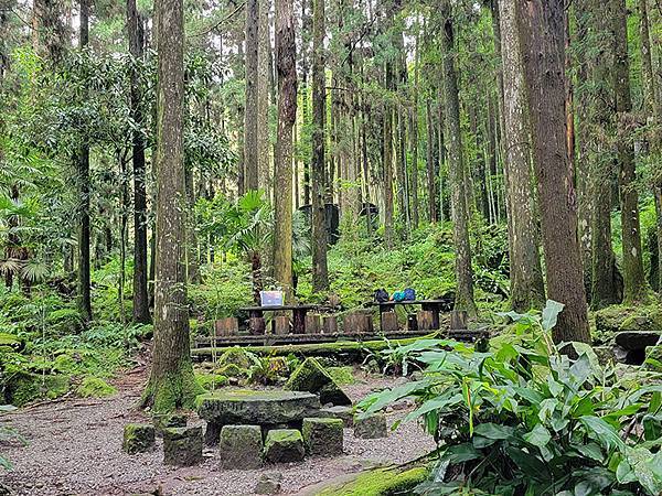 綠野遊蹤~~嘉義「頂湖步道」森呼吸