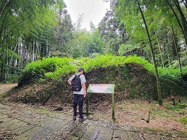 綠野遊蹤~~嘉義「頂湖步道」森呼吸