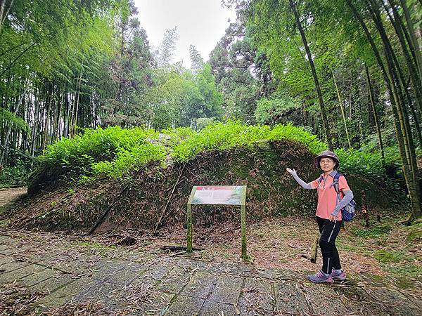 綠野遊蹤~~嘉義「頂湖步道」森呼吸