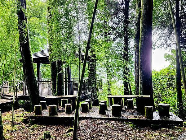 綠野遊蹤~~嘉義「頂湖步道」森呼吸