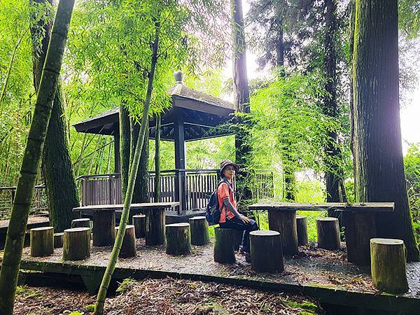 綠野遊蹤~~嘉義「頂湖步道」森呼吸