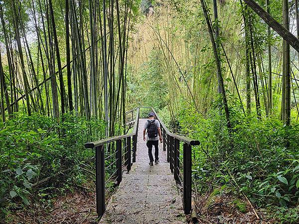 綠野遊蹤~~嘉義「頂湖步道」森呼吸