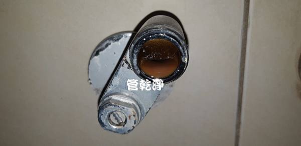 hsinpeitree001.jpg hsinpeitree001.jpg