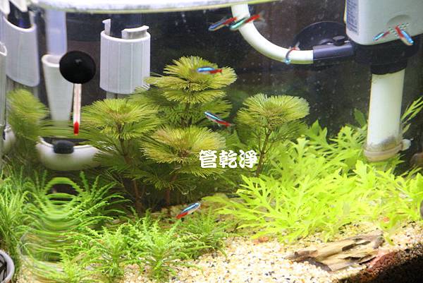 洗水管 洗水管