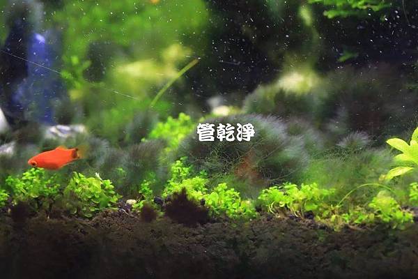 洗水管 洗水管