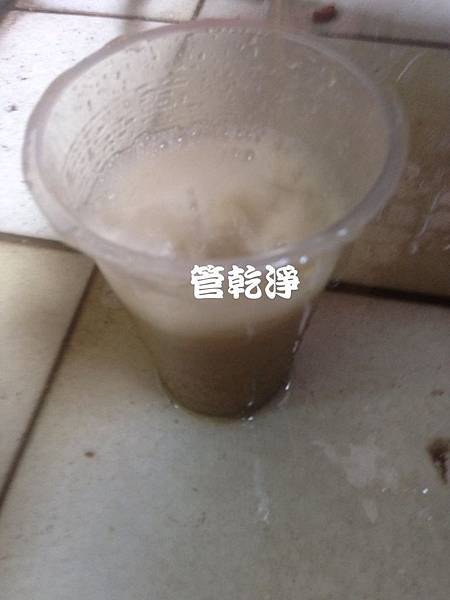 水龍頭流出泡沫綠茶？ 新豐 忠一街 洗水管