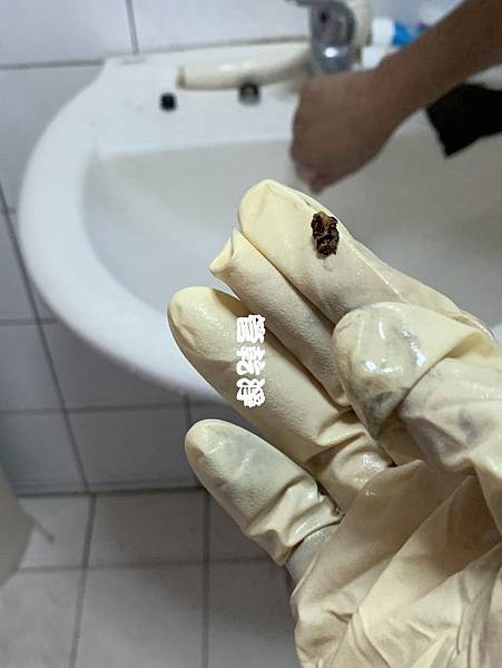 清洗水管, 水管清洗, 洗水管, 熱水忽冷忽熱