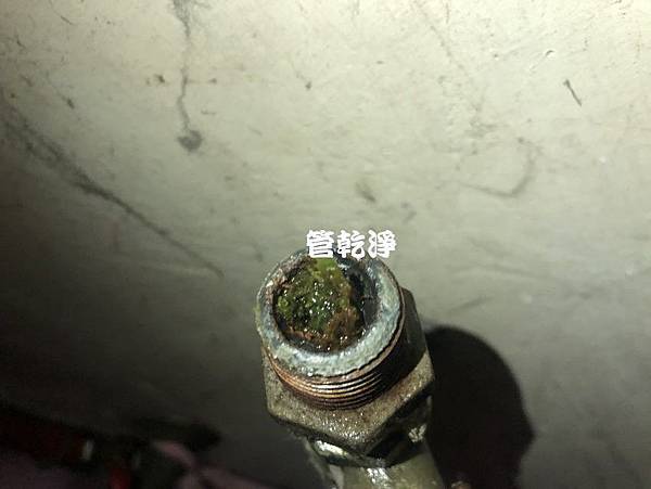 洗水管 水管內長青苔？ 新竹 新埔 新關路 洗水管