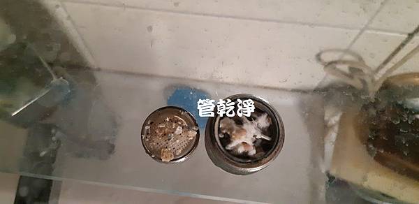 洗水管 熱水忽冷忽熱流出牛奶？ 桃園 平鎮 忠貞路 洗水管