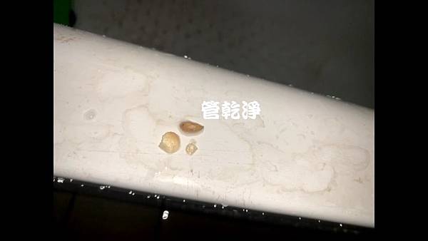 水管清洗 家裡水管幾近都堵住？ 苗栗 頭份 中正一路 清洗水