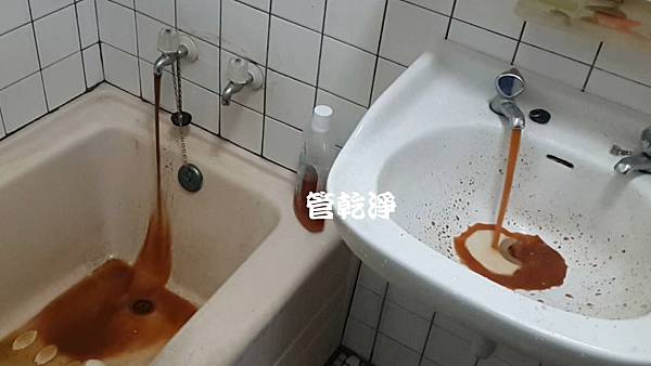 茅廁有雙管咖啡機？ 苗栗 造橋 育英街 洗水管 (管乾淨)