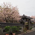 東方寺 (5).jpg