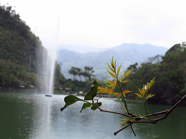 松步道 (14).jpg