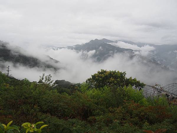 環保志工合歡山 (37).JPG