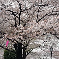 20140404_085321.jpg