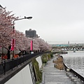 20140404_090212.jpg