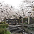 20140404_084605.jpg