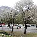 20140501_170813.jpg