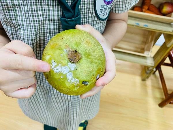 【幼兒園】小班開學第42週｜小班5月第四週 ❤️ 假日回來蔬