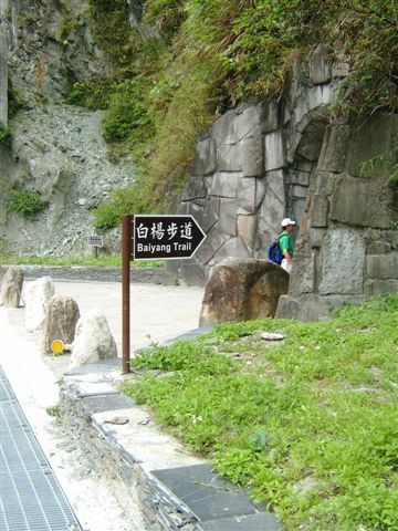 往白楊步道
