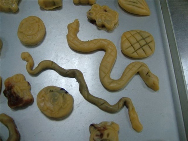 恐怖的蛇是館員做的啦！