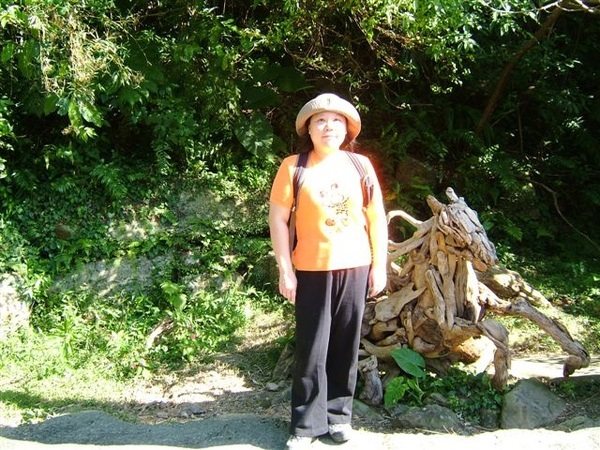 跌死馬橋前有隻馬
