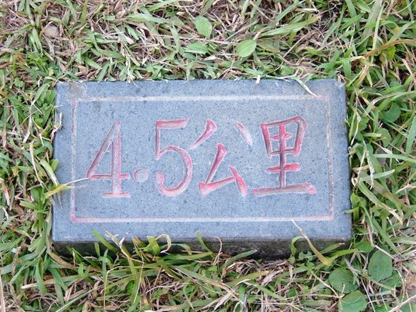 這不知是不是往桃源谷的路程？