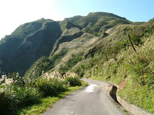 好美的山