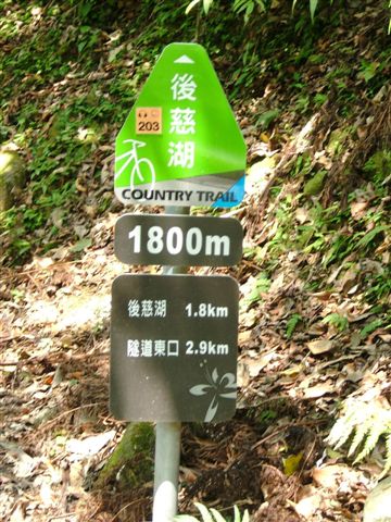 進入後慈湖前的步道，這一小段不用申請
