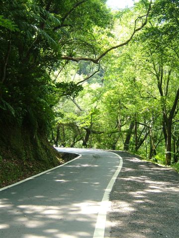 非常棒的路，今天氣溫有36度呢！
