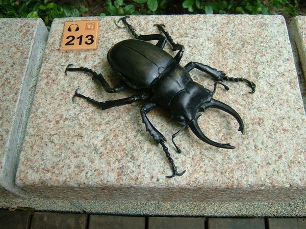 獨角仙