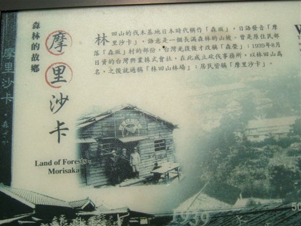 摩里是日語森林的意思