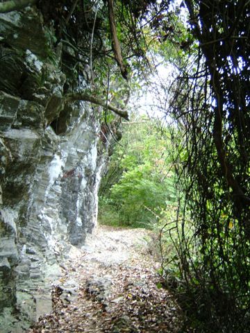 一路上都是我最愛的路，今天天氣也相當的好，適合爬山