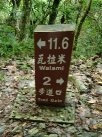 遊客中心服務員說：曾有人在2K處就看到台灣黑熊，要我們小心喔！