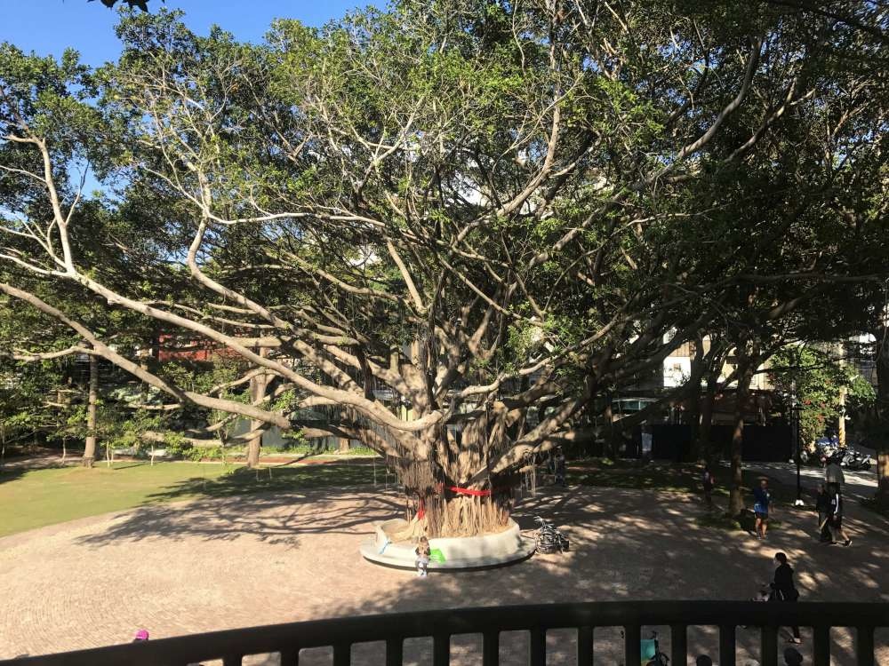 長和公園│新竹市│北區│小資爸親子旅遊團